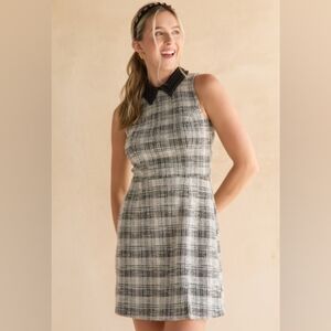 Francesca's Lori Waisted Tweed Pearl Collar Mini Dress Size Small